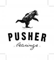 PUSHER bearings