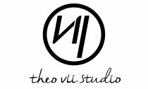 VII theo vii studio