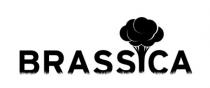 BRASSICA