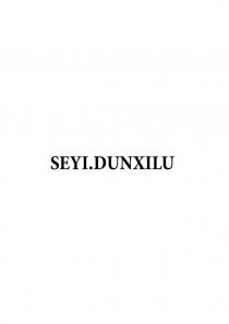 SEYI.DUNXILU