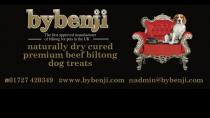 bybenji 01727420349 www.bybenji.com admin@bybenji.com