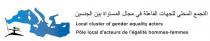 Local cluster of gender equality actors Pôle local d'acteurs de l'égalité hommes-femmes