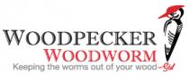 Woodpecker woodworm Keeping the worms out of your wood Gtd