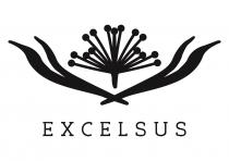 EXCELSUS