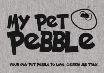 MY PET PEBBLE Your own pet pebble to love, cherish and train