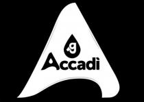 g Accadì