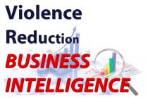 Violence Reduction Business Intelligence