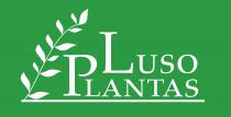 LUSO PLANTAS