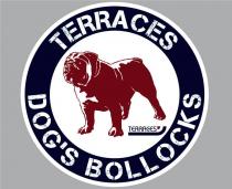 terraces dog's bollocks