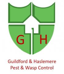 GH Guildford & Haslemere Pest & Wasp Control