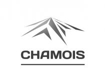 CHAMOIS