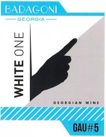 BADAGONI GEORGIA GEORGIAN WINE WHITE ONE GAU#5