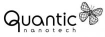 Quantic nanotech