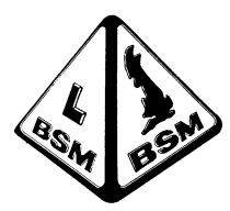 L BSM