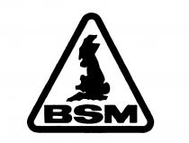 BSM