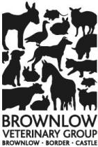 BROWNLOW VETERINARY GROUP BROWNLOW BORDER CASTLE