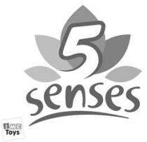 IMC TOYS 5 SENSES