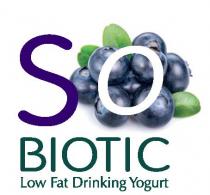 SO BIOTIC Low Fat Drinking Yogurt