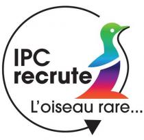 IPC RECRUTE L’OISEAU RARE