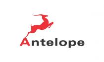 Antelope