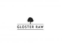 GLOSTER RAW