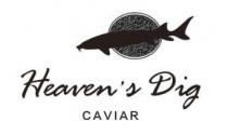 Heaven's Dig CAVIAR