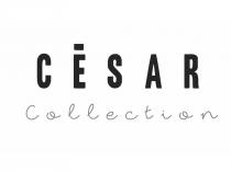 CÉSAR Collection