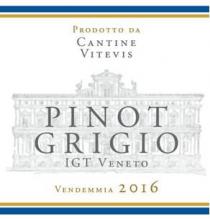 PRODOTTO DA CANTINE VITEVIS PINOT GRIGIO IGT VENETO VENDEMMIA 2016