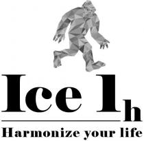 Ice 1h Harmonize your life