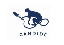 CANDIDE