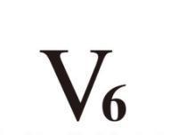 V6