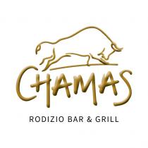 CHAMAS Rodizio Bar & Grill