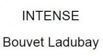 INTENSE Bouvet Ladubay