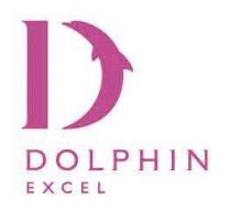 D Dolphin Excel