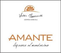 Valter Mazzarella Azienda Agricola - Amante - liquore al mandarino