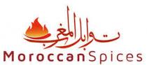 MOROCCAN SPICES