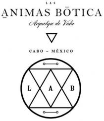 Las Animas Botica Arquetipo de Vida Cabo-Mexico L A B