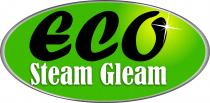 Eco Steam Gleam