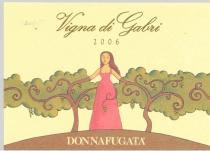 Vigna di Gabri DONNAFUGATA