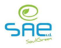 SAE Soul Green