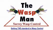 The Wasp Man Surrey Wasp Control Setting the standard in wasp control