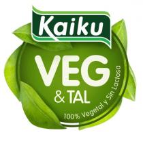 KAIKU VEG & TAL 100% VEGETAL Y SIN LACTOSA