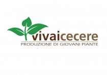 vivaicecere PRODUZIONE DI GIOVANI PIANTE