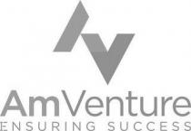 AV AmVenture ENSURING SUCCESS