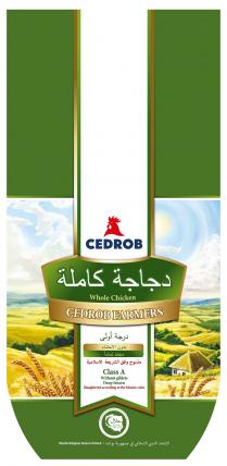 CEDROB Whole Chicken CEDROB FARMERS Class A Without giblets Deep frozen Slaughtered according to the Islamic rules Muslim Religious Union in Poland HALAL POLAND www.halalpoland.pl