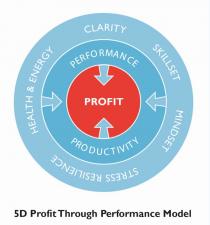 5D Profit Through Performance Model