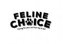 Feline Choice Caring for your cat from tip to tail