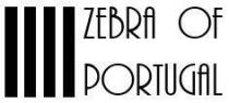 ZEBRA OF PORTUGAL