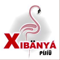 XIBÄNYÁ PÍJÍÜ