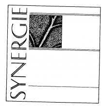 SYNERGIE